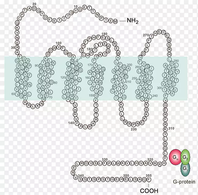 �����鱦������-�鱦-������