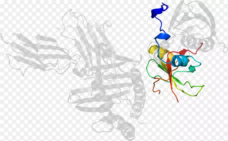 ƽ����ƻ滭���������-������