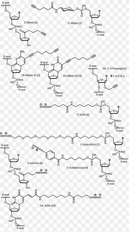 ����-��Ȳ���ӳɵ����ѧ-������