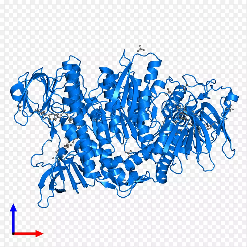 �ߵ������������-������