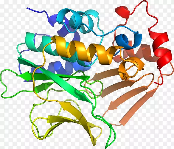 ���������л����߼�������-������