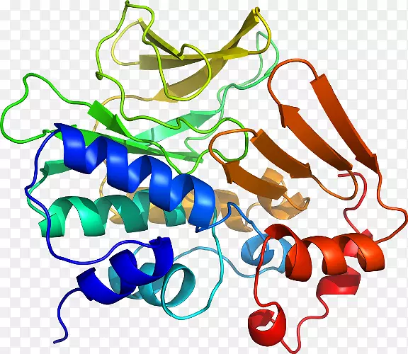 �ߵ������-��-������