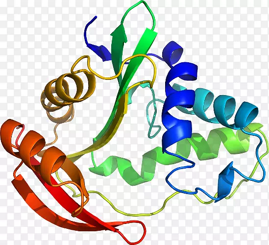 �����鱦���л����������-������