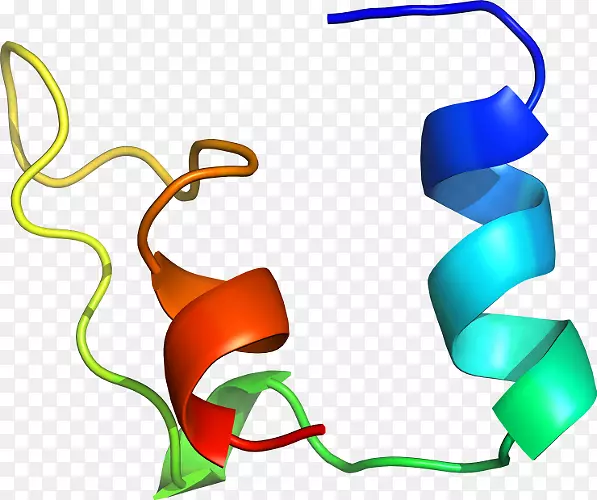 �ߵ������μ�����.��-������