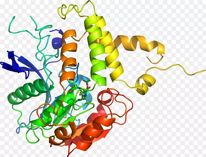 ����ֲ���л����߼�����-�߲�-������