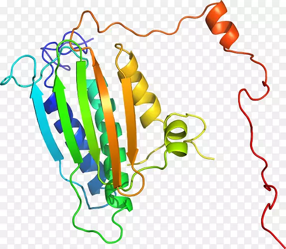 �ߵ������-��-������