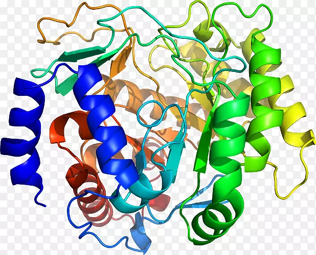 �����鱦�л�������������.�鱦-������