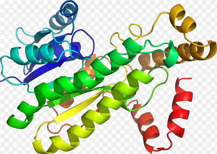 ���������л����߼�������-������