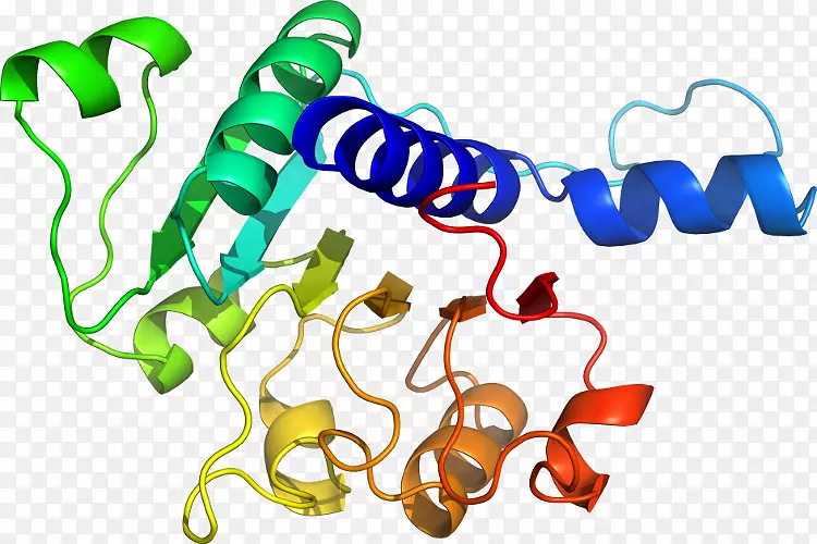 �����߶����������-������