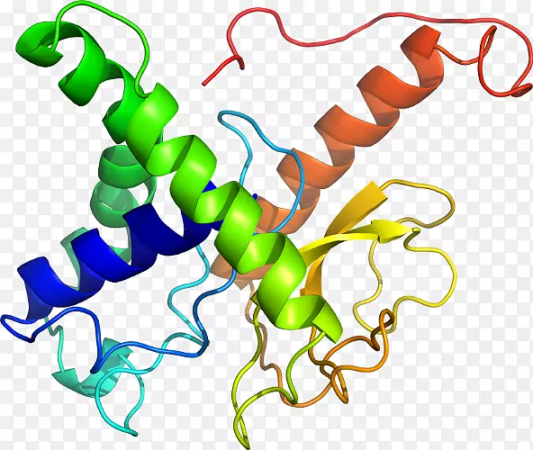 �����߶����������-������