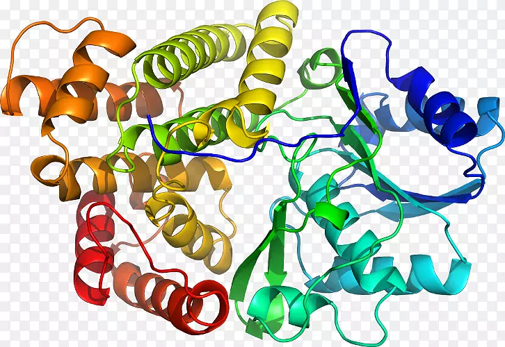 �����߶����������-������