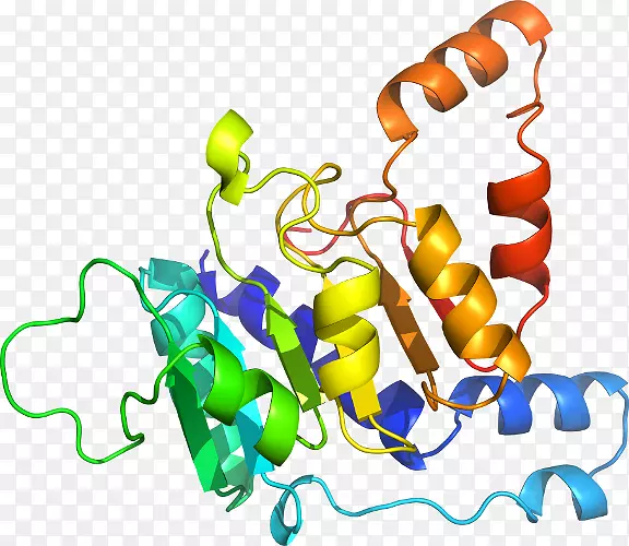 �����鱦�л�������������.�鱦-������