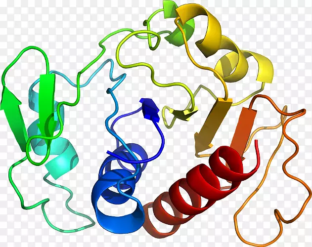 �����鱦������.���-������