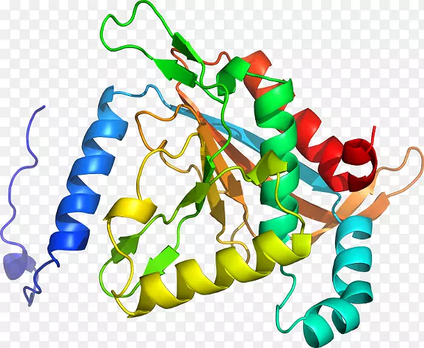 ���߼�����-��-������