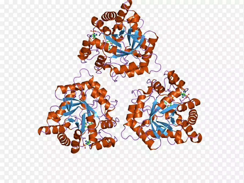 ����ʳƷ����-������