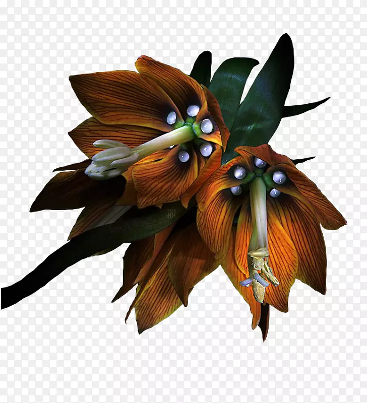 ��Ӱ���ܲ���-��-������