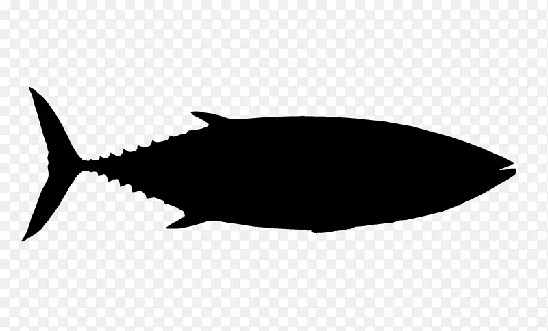 ��ɫ��Ӱ��ɫ����-��Ӱ-������