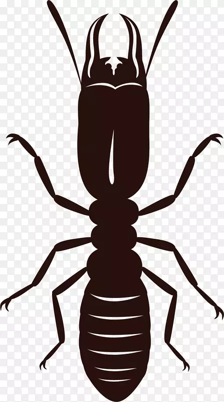 ���涫�����°�����������.����-������