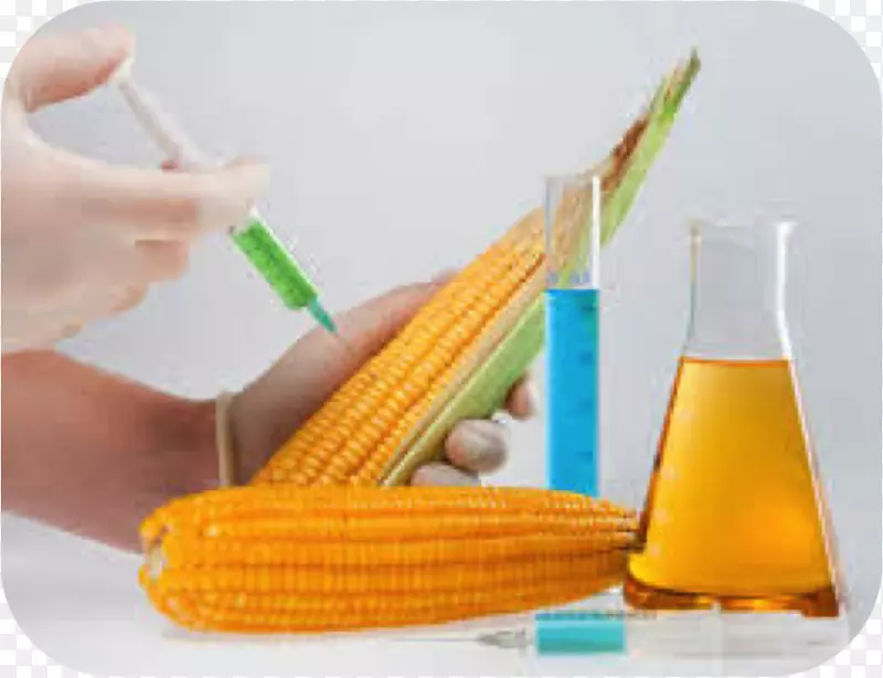 �л�ʳƷת������������-����-������