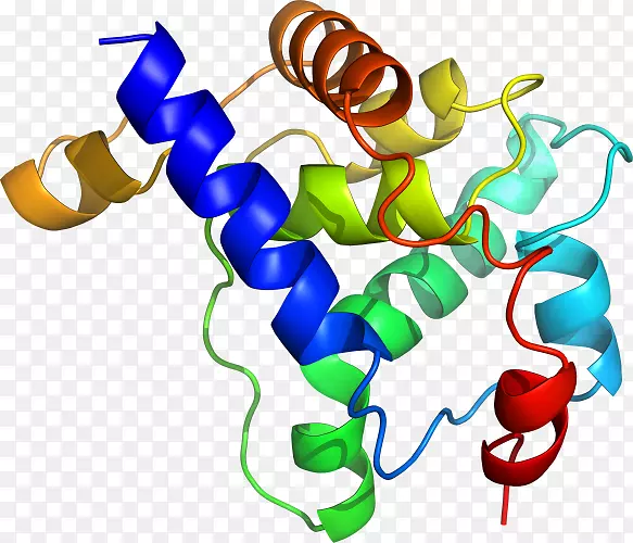 �����߶����������-������