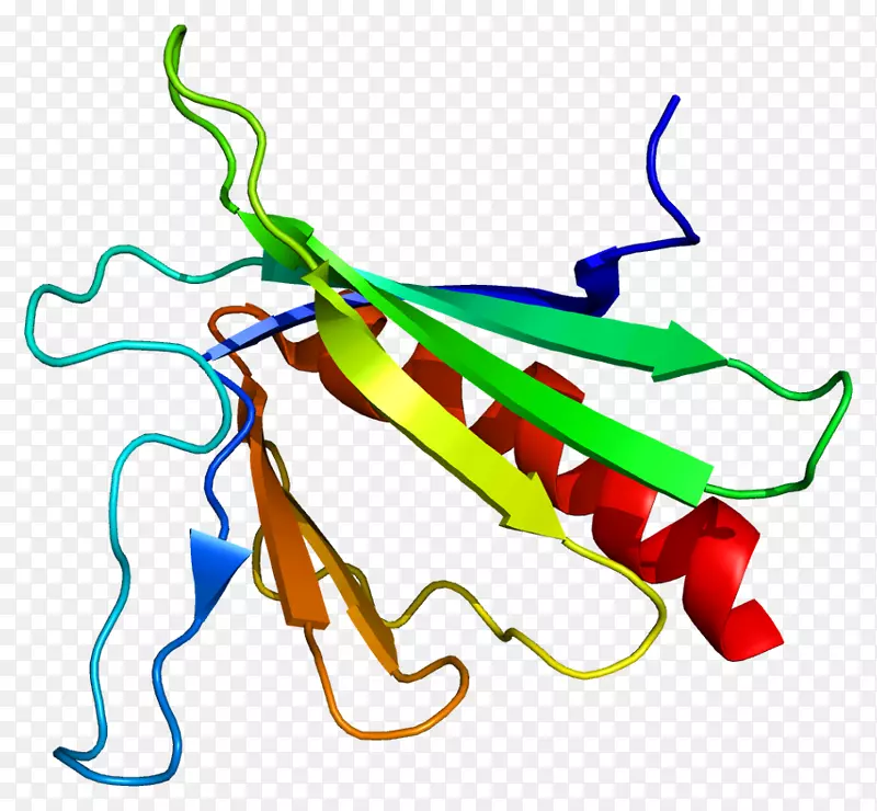 �ߵ������������-������