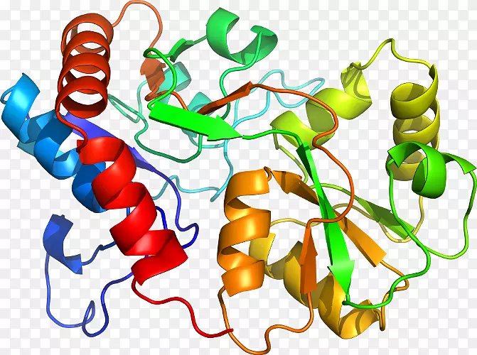 �߲��л���ϵ�м�����-�߲�-������