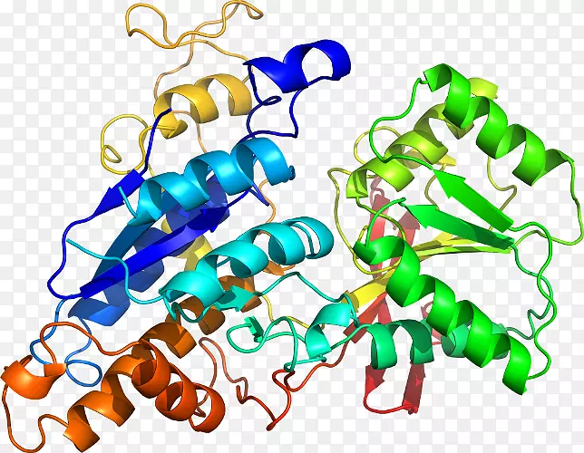 ���������л����߼�������-������