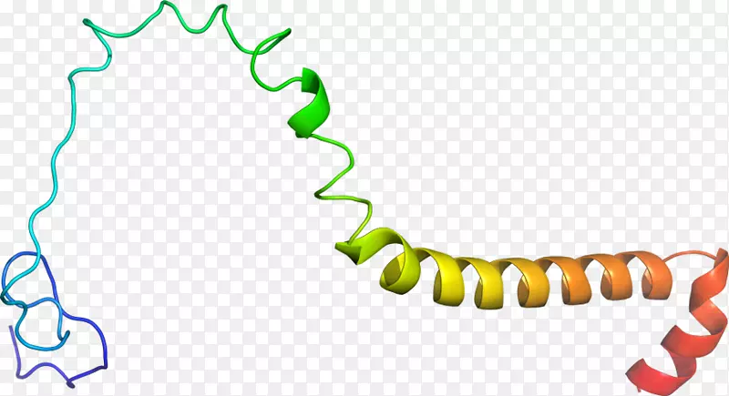 �ߵ���л����������-������