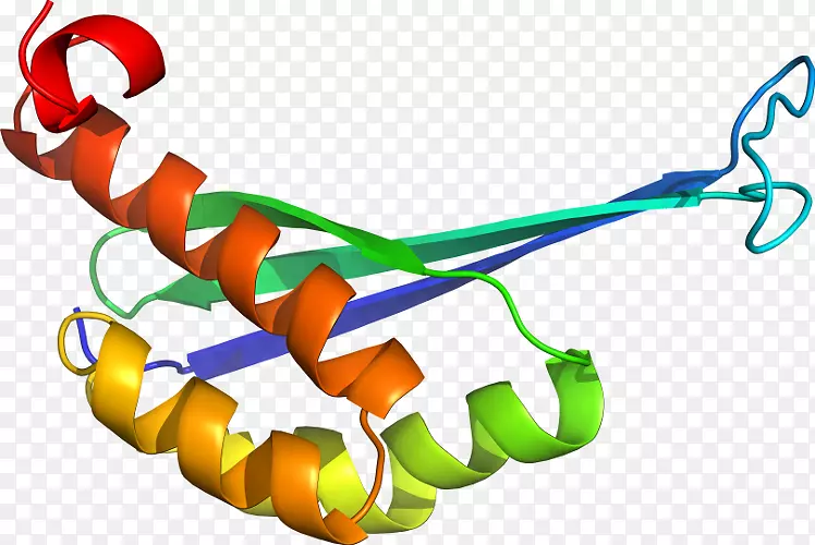 �����鱦���л����������-������