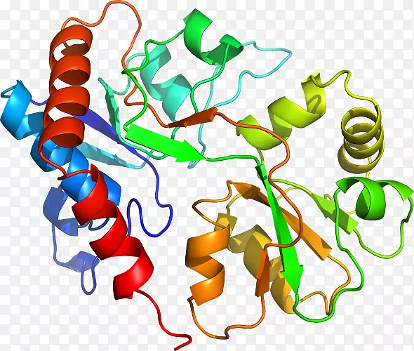 ������Ϊ���������-������