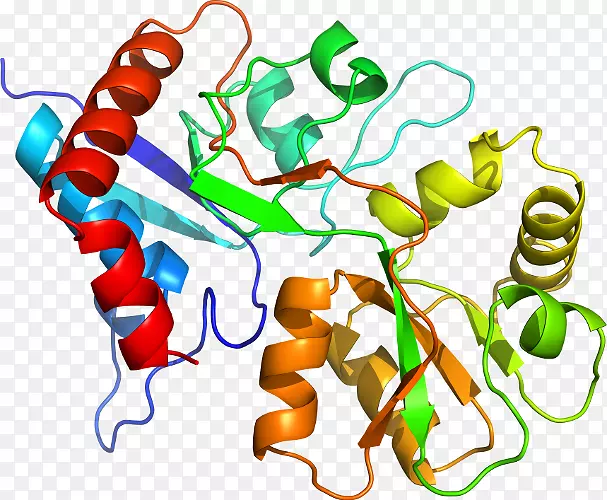 �ߵ������������-������