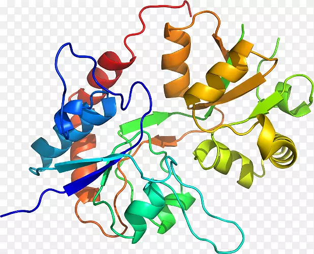 �ߵ������������-������