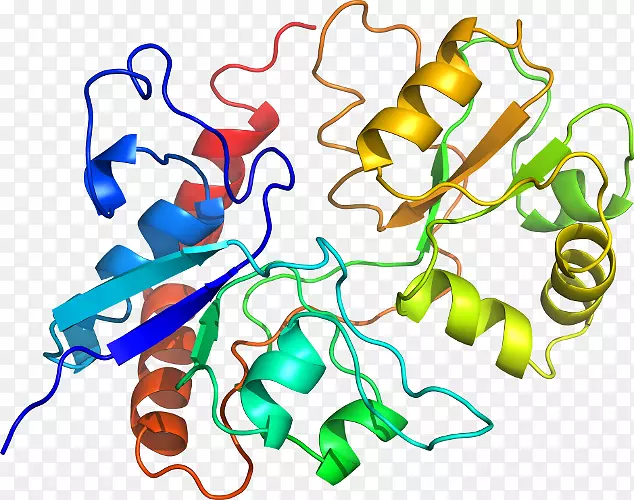 �ߵ������������-������