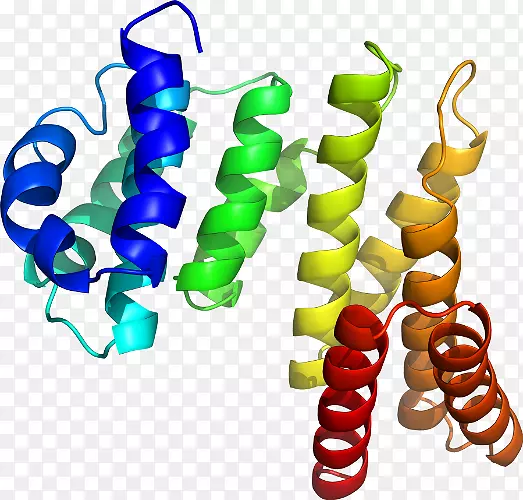 ʳƷ���μ�����.���-������