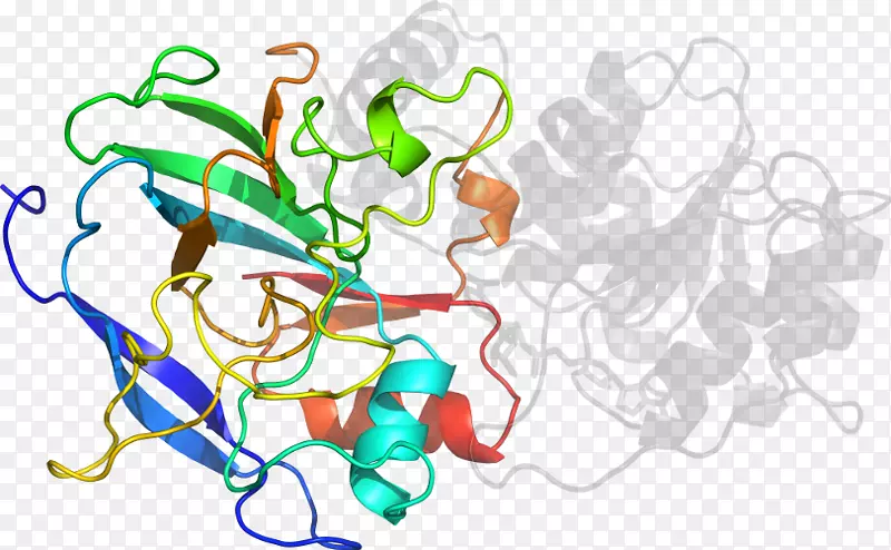 �����������������-������