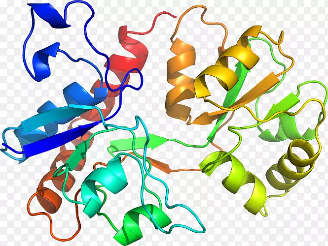 �����߶����������-������