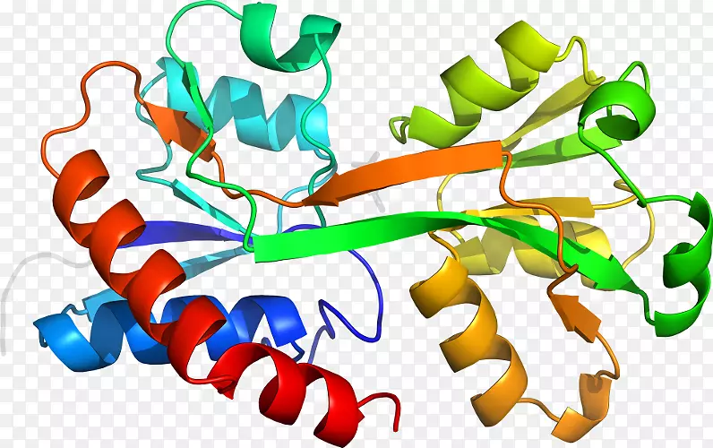 �ߵ������������-������