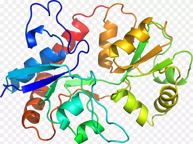 �ߵ������������-������