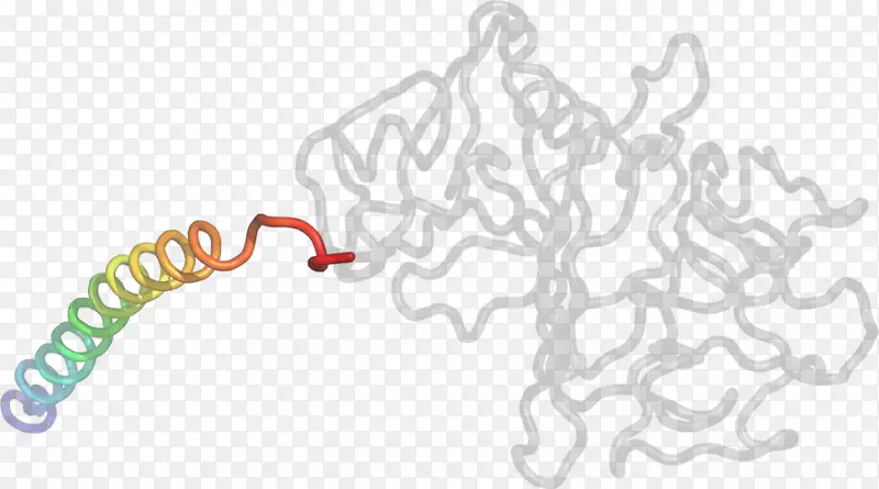 ���߶��������-��-������