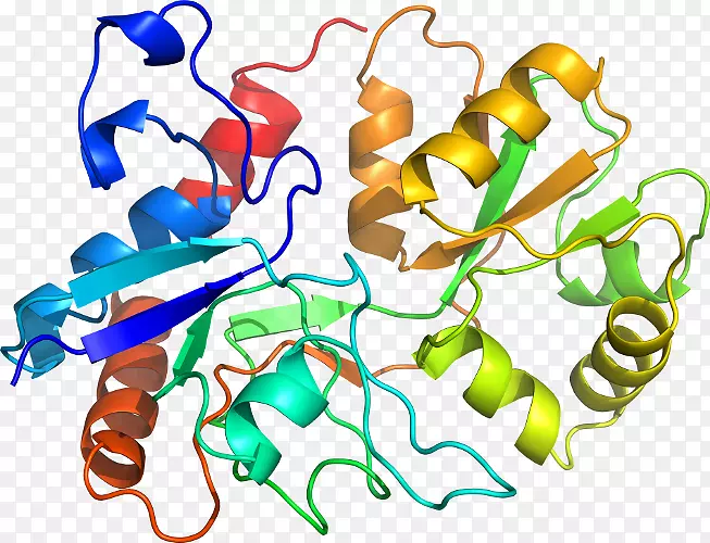 �����߶����������-������