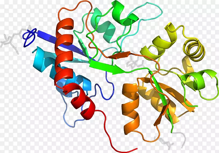 �ߵ������������-������