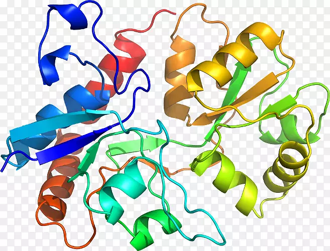 �����߶����������-������