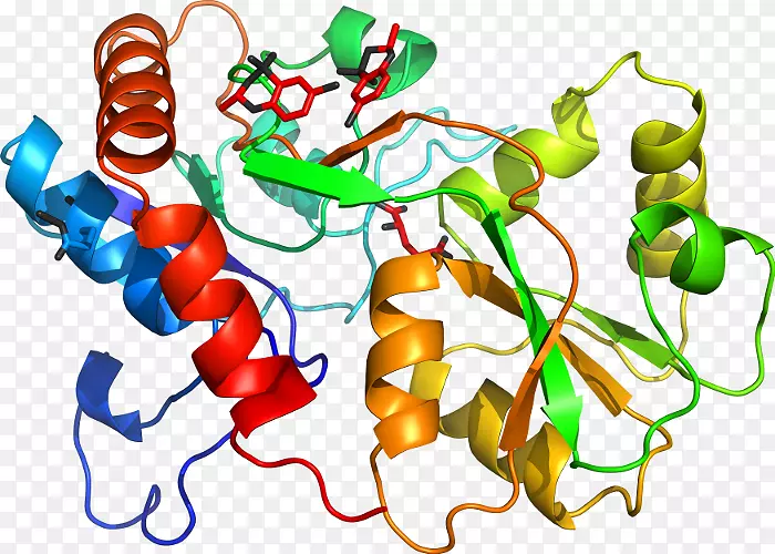 �߲��л���ϵ�м�����-�߲�-������