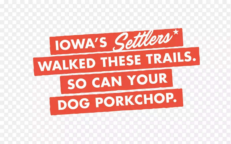 �̱��ǩ������-������