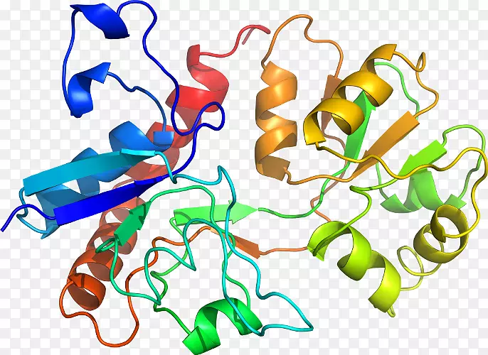 �ߵ������������-������