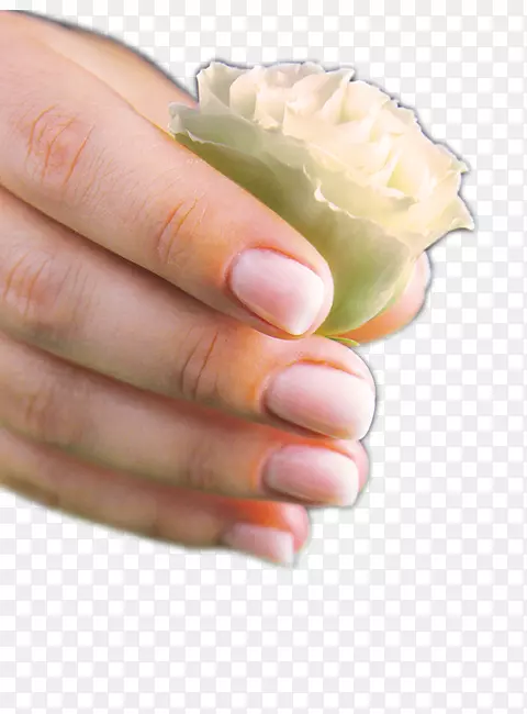 ָ����ģ��-Ӥ����һ��-������