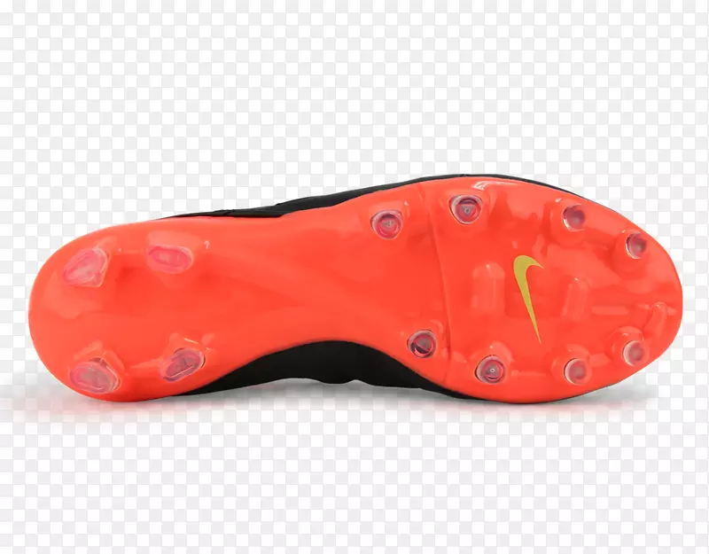 ����ѵ��Ь���-������