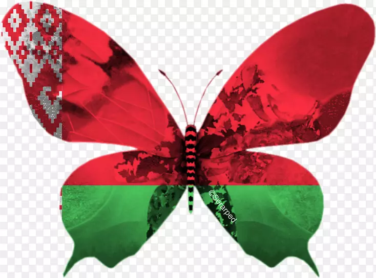 ŷ�޵��Ӹ�������2012ŷ�޵��Ӹ�������2013��ŷ�޵��Ӹ�������2017��ŷ�޵��Ӹ�������2006-������