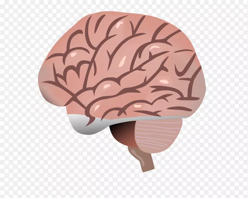 ����ά������-������ѧ����-������