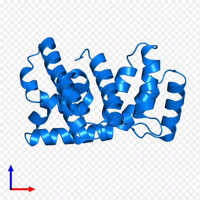 �߼��������-������